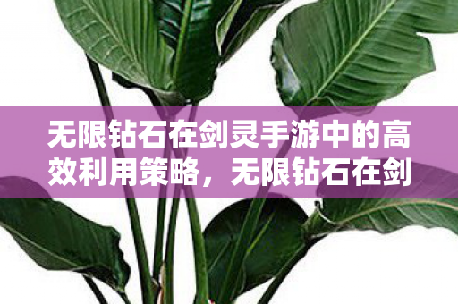 无限钻石在剑灵手游中的高效利用策略图片