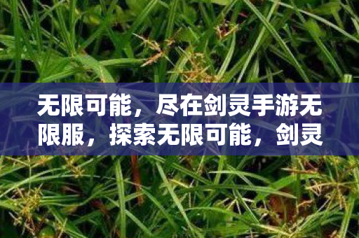 剑灵手游无限服等你来战图片