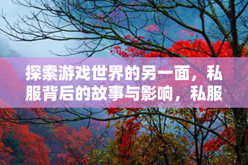 探索游戏世界的另一面，私服背后的故事与影响，私服背后的故事与影响，探索游戏世界的另一面