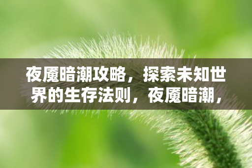 夜魇暗潮攻略,探索未知世界的生存法则,夜魇暗潮,探索未知世界的生存法则 夜魇暗潮攻略,探索未知世界的生存法则,夜魇暗潮,探索未知世界的生存法则
