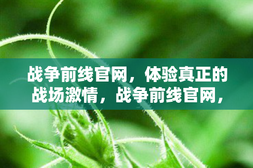 战争前线官网,体验真正的战场激情,战争前线官网,点燃战场激情,体验真实战斗 战争前线官网,体验真正的战场激情,战争前线官网,点燃战场激情,体验真实战斗
