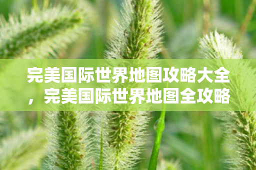 完美国际世界地图攻略大全,完美国际世界地图全攻略 完美国际世界地图攻略大全,完美国际世界地图全攻略