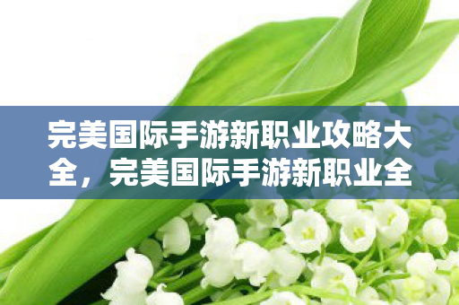 完美国际手游新职业攻略大全图片