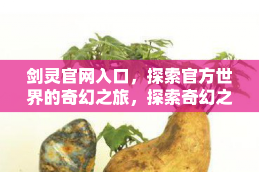 探索官方世界的奇幻之旅图片