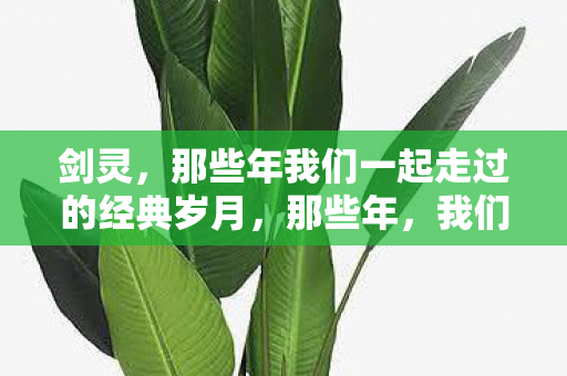 那些年我们一起走过的经典岁月图片