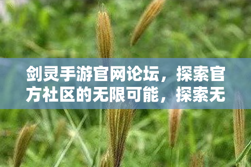 剑灵手游官网论坛官方社区图片