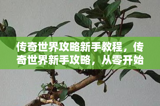传奇世界攻略新手教程,传奇世界新手攻略,从零开始打造你的传奇之路 传奇世界攻略新手教程,传奇世界新手攻略,从零开始打造你的传奇之路