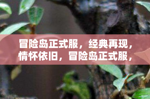 冒险岛正式服,经典再现,情怀依旧,冒险岛正式服,经典再现,情怀依旧 冒险岛正式服,经典再现,情怀依旧,冒险岛正式服,经典再现,情怀依旧