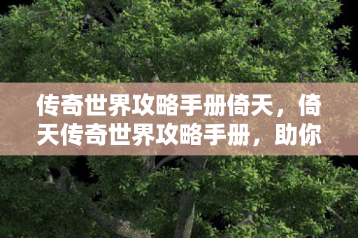 传奇世界攻略手册倚天,倚天传奇世界攻略手册,助你称霸游戏世界 传奇世界攻略手册倚天,倚天传奇世界攻略手册,助你称霸游戏世界