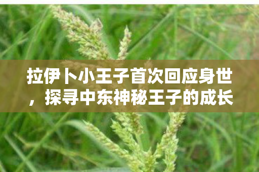 拉伊卜小王子首次回应身世,探寻中东神秘王子的成长之路,拉伊卜小王子探寻成长之路 拉伊卜小王子首次回应身世,探寻中东神秘王子的成长之路,拉伊卜小王子探寻成长之路