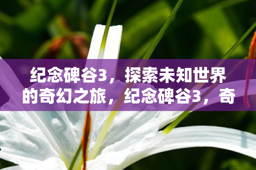 纪念碑谷3,探索未知世界的奇幻之旅,纪念碑谷3,奇幻之旅探索未知世界 纪念碑谷3,探索未知世界的奇幻之旅,纪念碑谷3,奇幻之旅探索未知世界