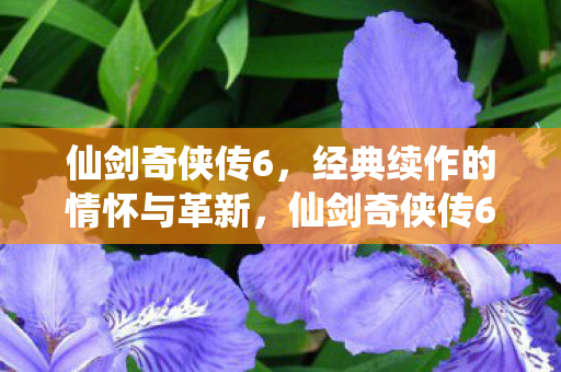 仙剑奇侠传6,经典续作的情怀与革新,仙剑奇侠传6,经典续作再续情怀与革新之路 仙剑奇侠传6,经典续作的情怀与革新,仙剑奇侠传6,经典续作再续情怀与革新之路