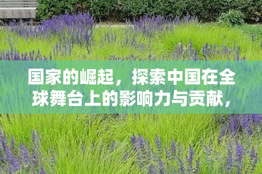 国家的崛起,探索中国在全球舞台上的影响力与贡献,中国崛起,探索全球舞台上的影响力与贡献 国家的崛起,探索中国在全球舞台上的影响力与贡献,中国崛起,探索全球舞台上的影响力与贡献