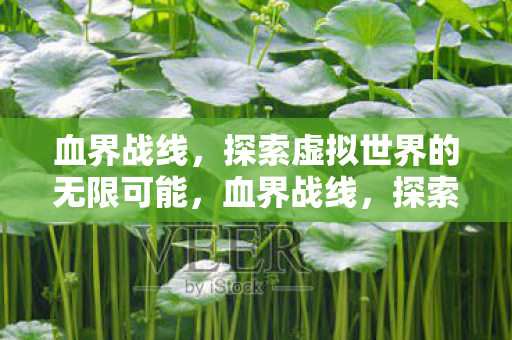 血界战线,探索虚拟世界的无限可能,血界战线,探索虚拟世界的无限可能 血界战线,探索虚拟世界的无限可能,血界战线,探索虚拟世界的无限可能