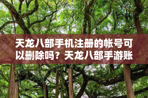 天龙八部手机注册的帐号可以删除吗图片