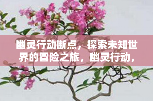 幽灵行动断点,探索未知世界的冒险之旅,幽灵行动,断点探索未知世界的冒险之旅 幽灵行动断点,探索未知世界的冒险之旅,幽灵行动,断点探索未知世界的冒险之旅