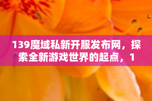 139魔域私新开服发布网图片