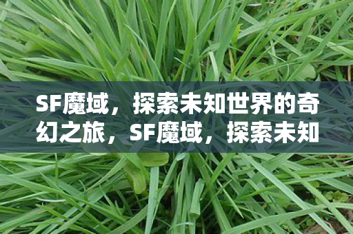 探索未知世界的奇幻冒险之旅图片