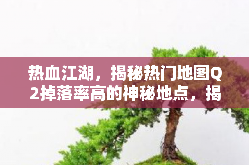 热血江湖，揭秘热门地图Q2掉落率高的神秘地点，揭秘热血江湖Q2高掉落率神秘地图，热血与宝藏的交汇点