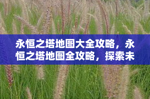 永恒之塔地图大全攻略,永恒之塔地图全攻略,探索未知领域,解锁隐藏宝藏! 永恒之塔地图大全攻略,永恒之塔地图全攻略,探索未知领域,解锁隐藏宝藏!
