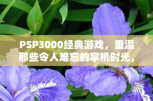 PSP3000经典游戏,重温那些令人难忘的掌机时光,PSP3000经典游戏,重温令人难忘的掌机时光 PSP3000经典游戏,重温那些令人难忘的掌机时光,PSP3000经典游戏,重温令人难忘的掌机时光