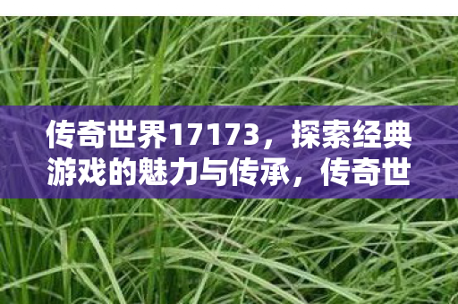 传奇世界17173,探索经典游戏的魅力与传承,传奇世界,探索经典游戏的魅力与传承 传奇世界17173,探索经典游戏的魅力与传承,传奇世界,探索经典游戏的魅力与传承