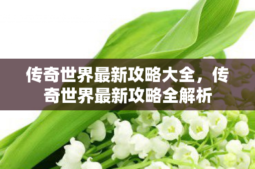 传奇世界最新攻略大全,传奇世界最新攻略全解析 传奇世界最新攻略大全,传奇世界最新攻略全解析