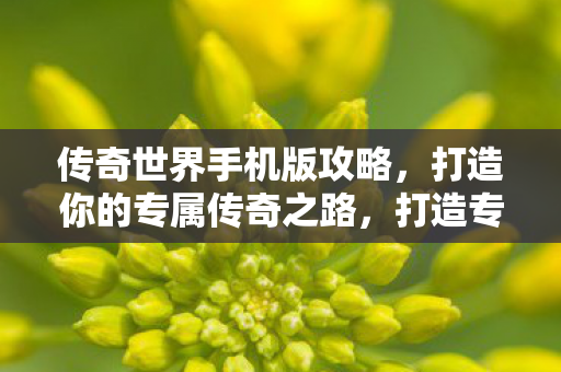 传奇世界手机版攻略，打造你的专属传奇之路，打造专属传奇之路，传奇世界手机版攻略