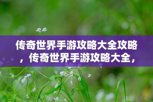 传奇世界手游攻略大全攻略,传奇世界手游攻略大全,助你轻松玩转游戏 传奇世界手游攻略大全攻略,传奇世界手游攻略大全,助你轻松玩转游戏