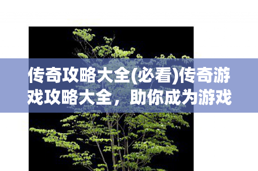 传奇攻略大全(必看)传奇游戏攻略大全，助你成为游戏高手