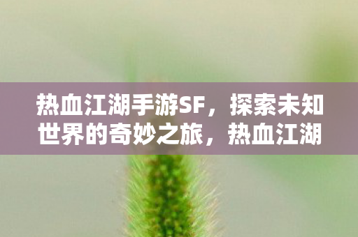 热血江湖手游SF,探索未知世界的奇妙之旅,热血江湖手游SF,探索未知世界的奇妙之旅 热血江湖手游SF,探索未知世界的奇妙之旅,热血江湖手游SF,探索未知世界的奇妙之旅