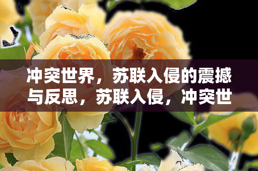 冲突世界，苏联入侵的震撼与反思，苏联入侵，冲突世界的震撼与反思