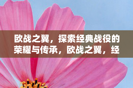 欧战之翼,探索经典战役的荣耀与传承,欧战之翼,经典战役的荣耀与传承 欧战之翼,探索经典战役的荣耀与传承,欧战之翼,经典战役的荣耀与传承