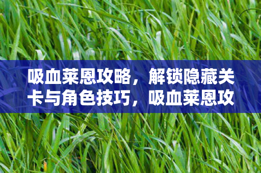 吸血莱恩攻略，解锁隐藏关卡与角色技巧，吸血莱恩攻略，解锁隐藏关卡与角色技巧全解析