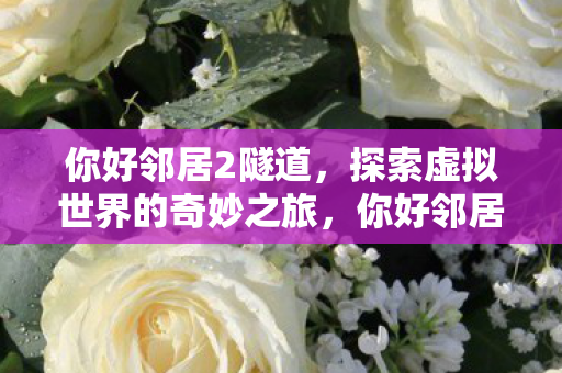你好邻居2隧道,探索虚拟世界的奇妙之旅,你好邻居2,隧道探险,解锁虚拟世界的奇妙之旅 你好邻居2隧道,探索虚拟世界的奇妙之旅,你好邻居2,隧道探险,解锁虚拟世界的奇妙之旅
