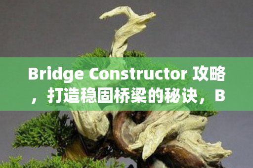 Bridge Constructor 攻略,打造稳固桥梁的秘诀,Bridge Constructor,打造稳固桥梁的秘诀 Bridge Constructor 攻略,打造稳固桥梁的秘诀,Bridge Constructor,打造稳固桥梁的秘诀