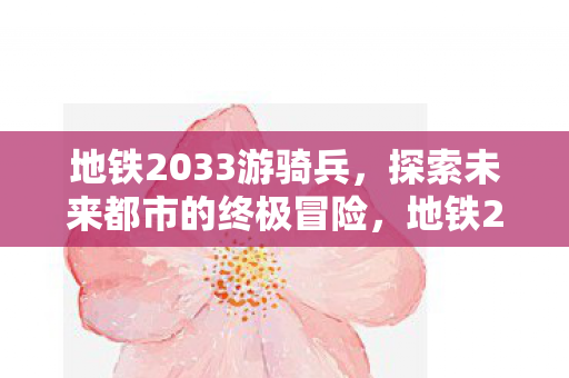 地铁2033游骑兵，探索未来都市的终极冒险，地铁2033游骑兵，未来都市终极冒险之旅