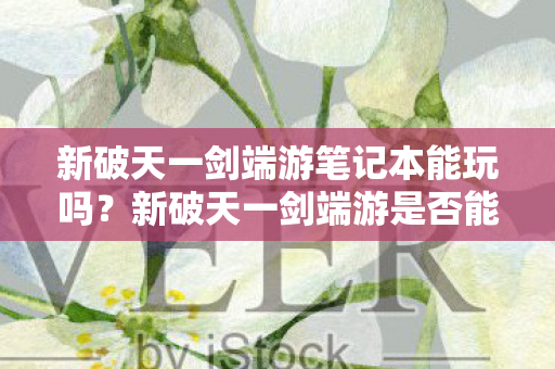 新破天一剑端游笔记本能玩吗？新破天一剑端游是否能在笔记本上玩？
