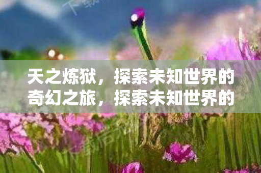 天之炼狱，探索未知世界的奇幻之旅，探索未知世界的奇幻之旅，天之炼狱
