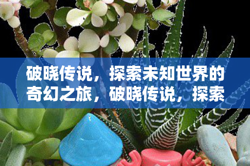 破晓传说，探索未知世界的奇幻之旅，破晓传说，探索未知世界的奇幻冒险之旅