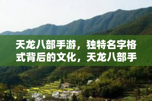 天龙八部手游,独特名字格式背后的文化,天龙八部手游名字背后的文化含义 天龙八部手游,独特名字格式背后的文化,天龙八部手游名字背后的文化含义