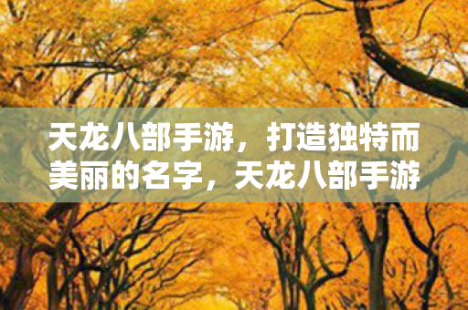 天龙八部手游,打造独特而美丽的名字,天龙八部手游打造独特而美丽的名字 天龙八部手游,打造独特而美丽的名字,天龙八部手游打造独特而美丽的名字