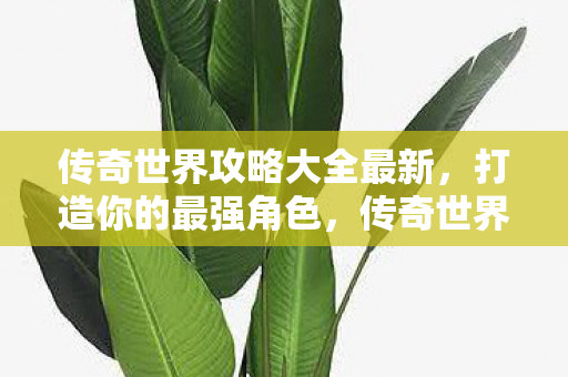 传奇世界攻略大全最新,打造你的最强角色,传奇世界最新攻略,打造最强角色 传奇世界攻略大全最新,打造你的最强角色,传奇世界最新攻略,打造最强角色