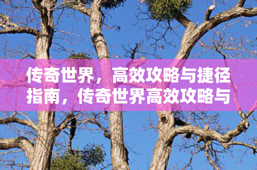 传奇世界，高效攻略与捷径指南，传奇世界高效攻略与捷径指南，助你轻松称霸游戏世界