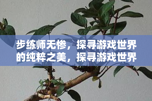 步练师无惨，探寻游戏世界的纯粹之美，探寻游戏世界的纯粹之美，步练师无惨