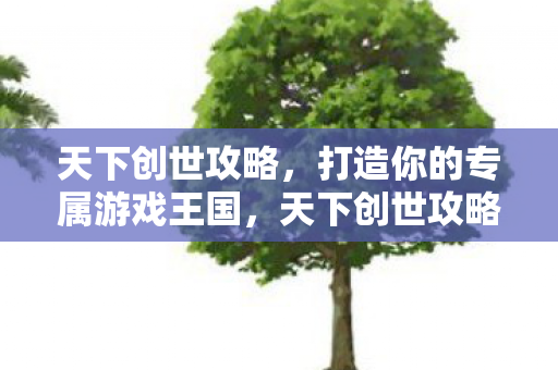 天下创世攻略，打造你的专属游戏王国，天下创世攻略，打造你的专属游戏王国