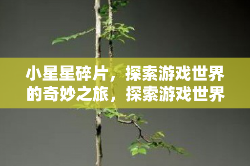 小星星碎片，探索游戏世界的奇妙之旅，探索游戏世界的奇妙之旅，小星星碎片
