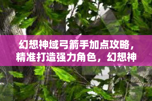 幻想神域弓箭手加点攻略,精准打造强力角色,幻想神域弓箭手加点全解析,打造强力角色 幻想神域弓箭手加点攻略,精准打造强力角色,幻想神域弓箭手加点全解析,打造强力角色