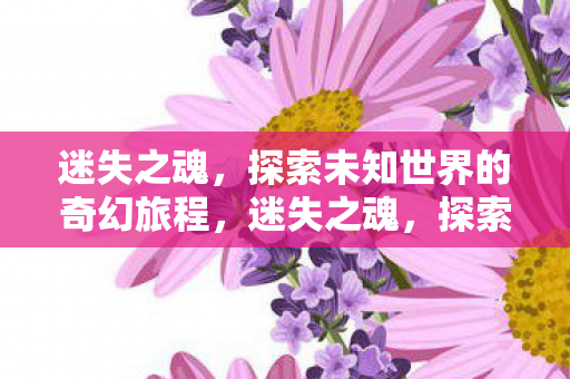 迷失之魂，探索未知世界的奇幻旅程，迷失之魂，探索未知世界的奇幻旅程