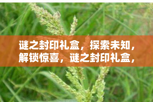 谜之封印礼盒,探索未知,解锁惊喜,谜之封印礼盒,解锁未知惊喜 谜之封印礼盒,探索未知,解锁惊喜,谜之封印礼盒,解锁未知惊喜